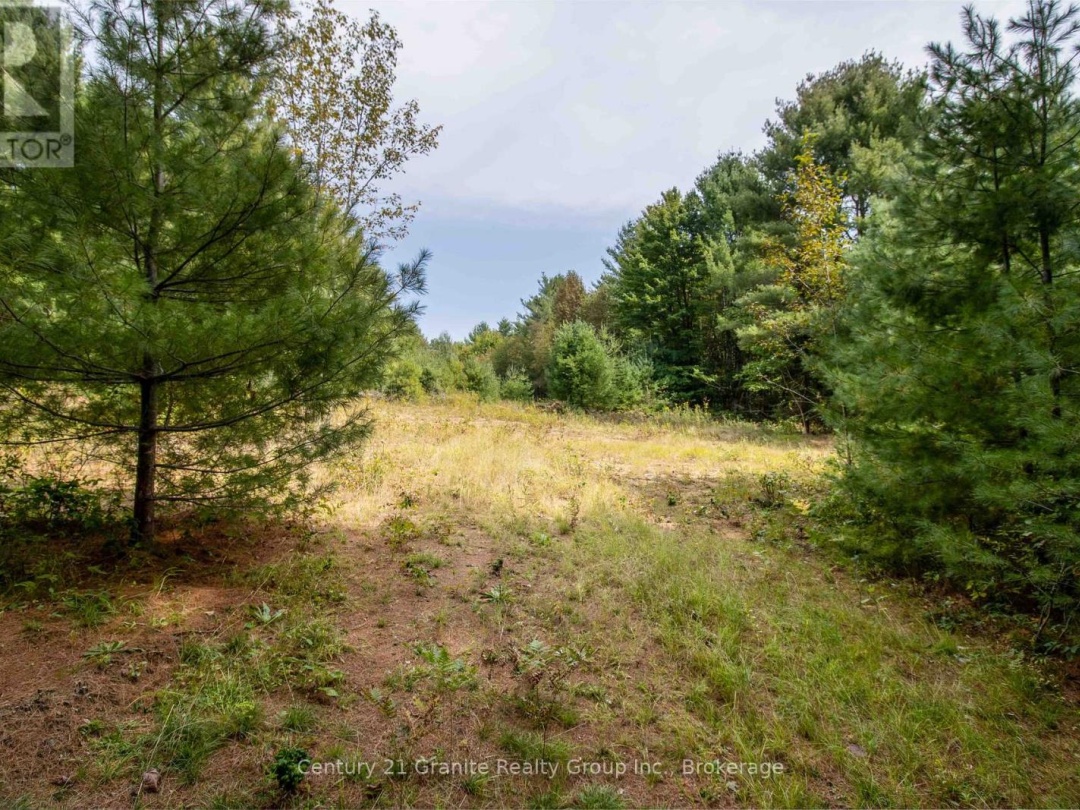 4729 COUNTY ROAD 121, Minden Hills (Lutterworth)