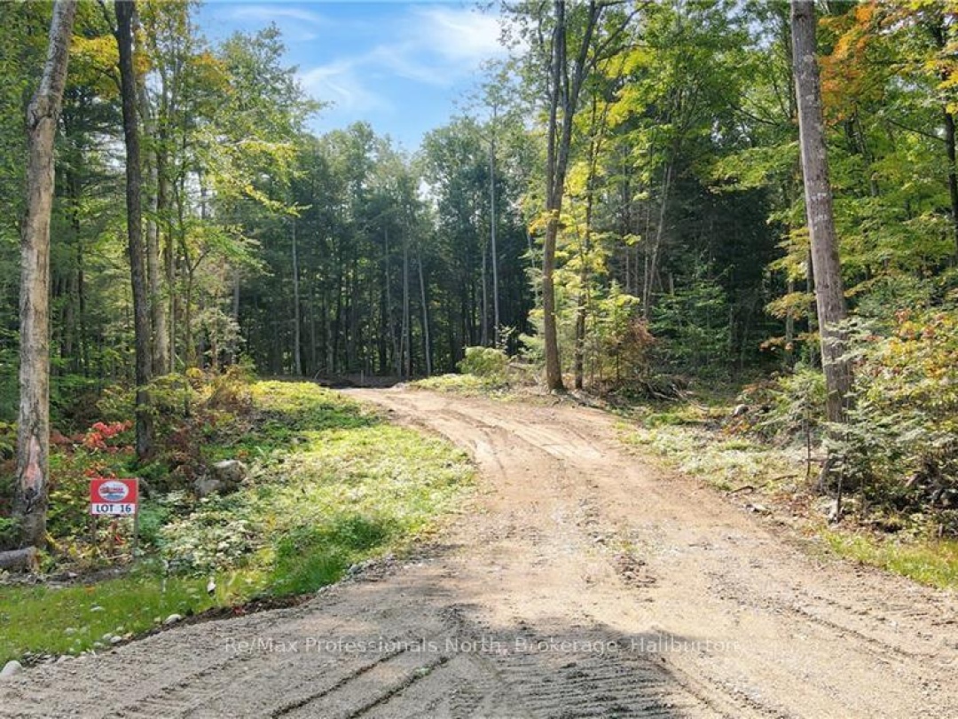 Lot 16 N/A, Algonquin Highlands