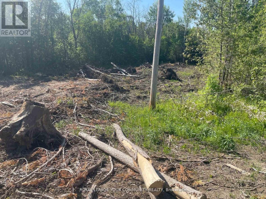 831 CENTENNIAL PARK, Kawartha Lakes (Carden)