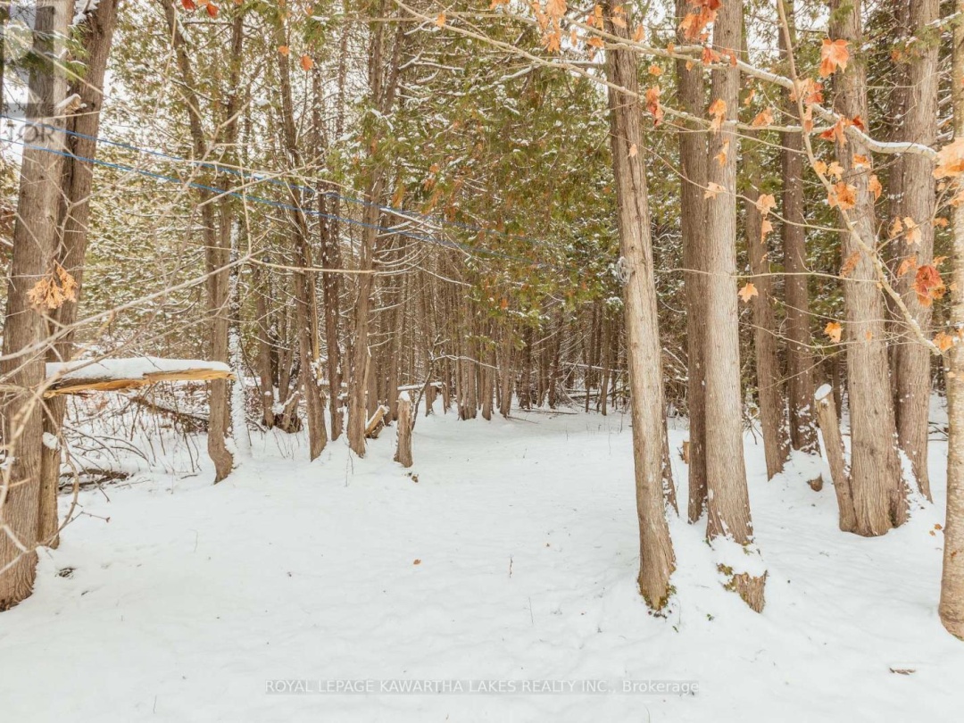 38 FELL STATION DRIVE, 