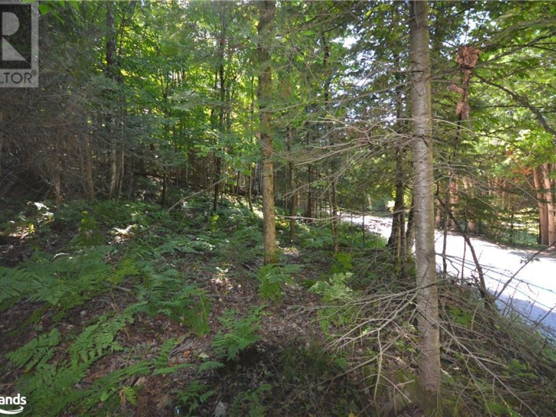 0 Fred Jones Road, Haliburton