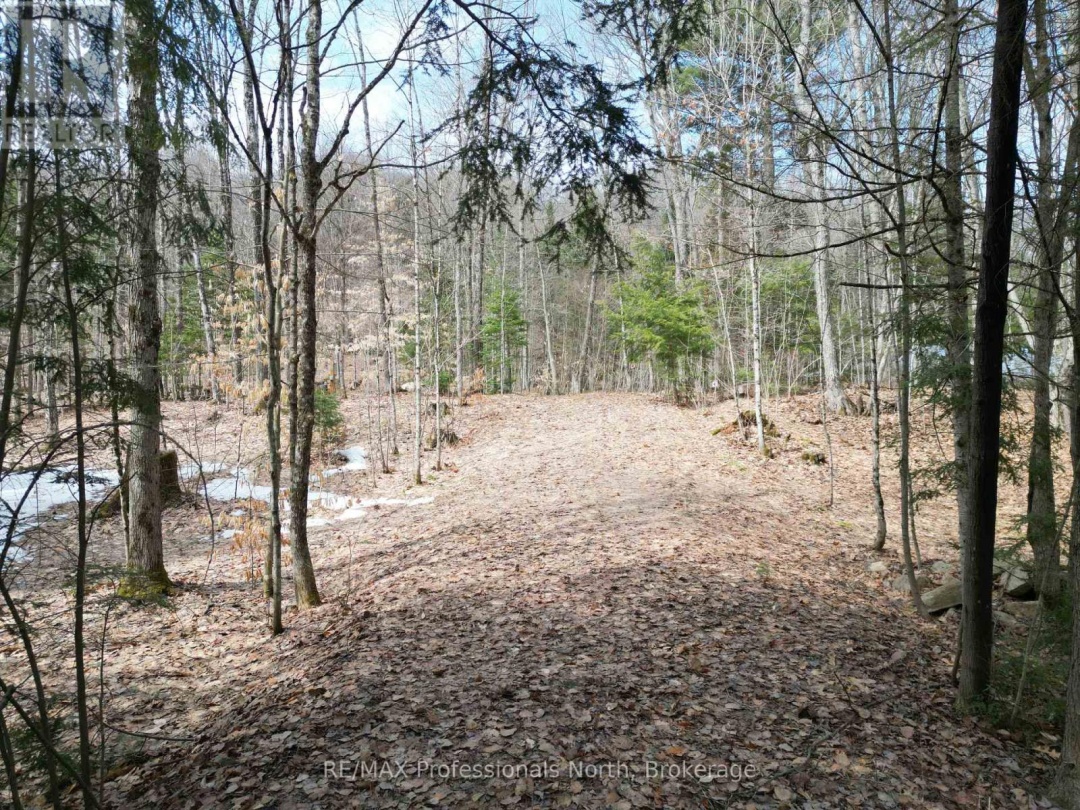 1231 BIG HAWK LAKE ROAD, Algonquin Highlands (Stanhope)