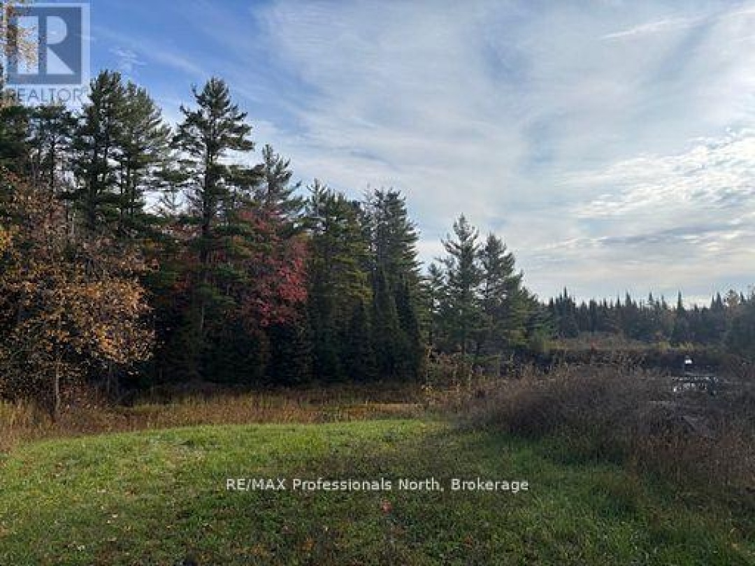 4326 COUNTY ROAD 121 ROAD, Minden Hills (Snowdon)