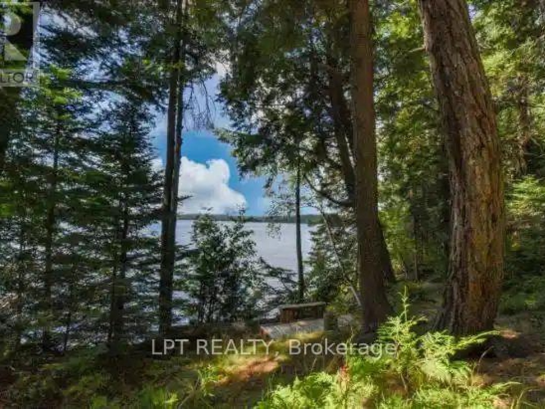 1431 - 00 HIGHWAY 60, Lake of Two Rivers