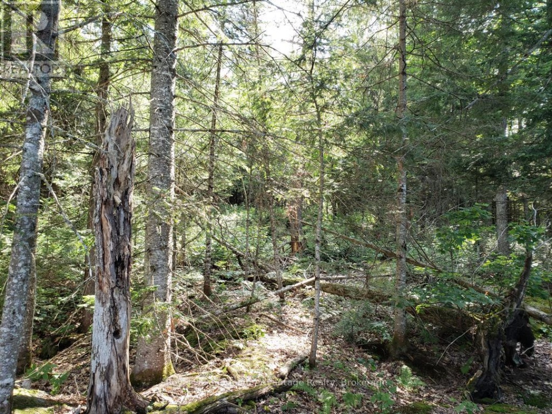 0 UNOPENED ROAD ALLOWANCE ROAD, McKellar