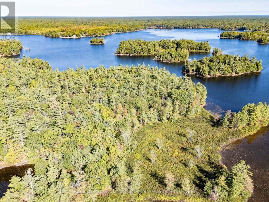 1010 TARA LANE, Morrison Lake
