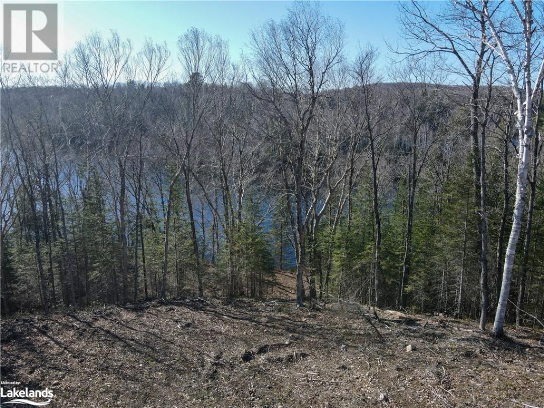 244A Riverside Drive, Magnetawan River