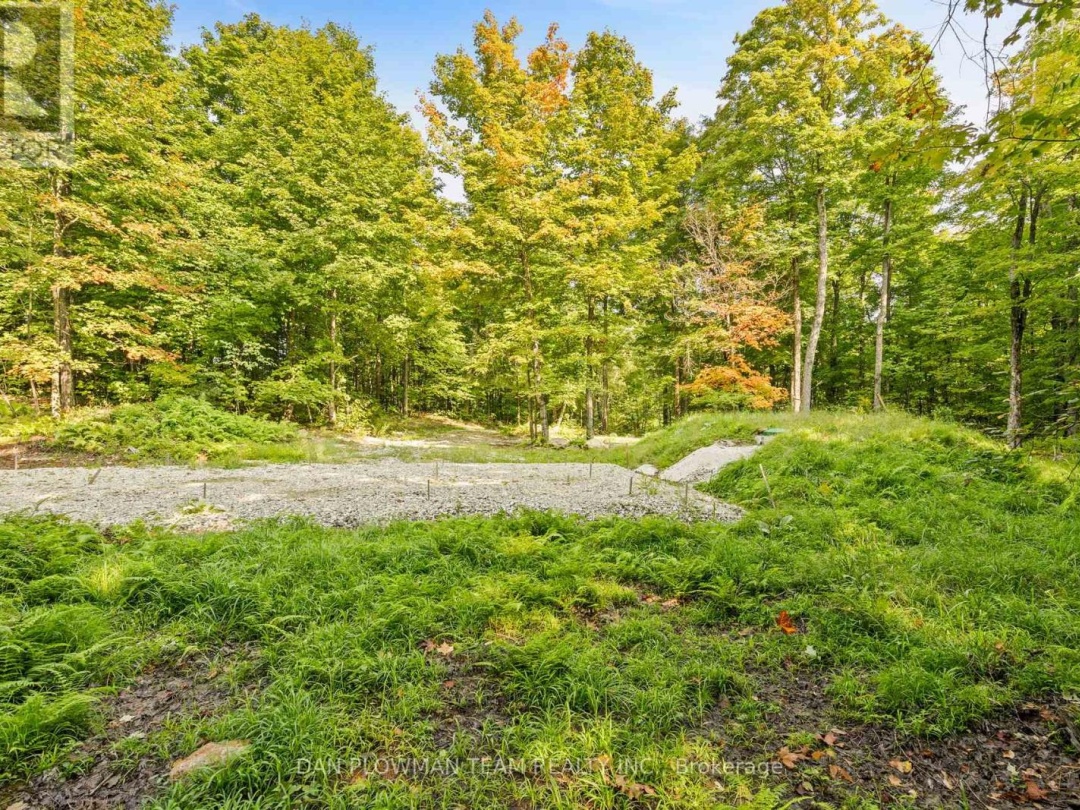 1409 BASSHAUNT LAKE ROAD, Dysart et al (Guilford)