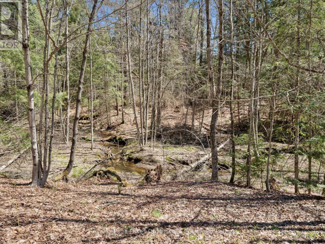 1052 OLD FALKENBURG ROAD, Bracebridge (Macaulay)