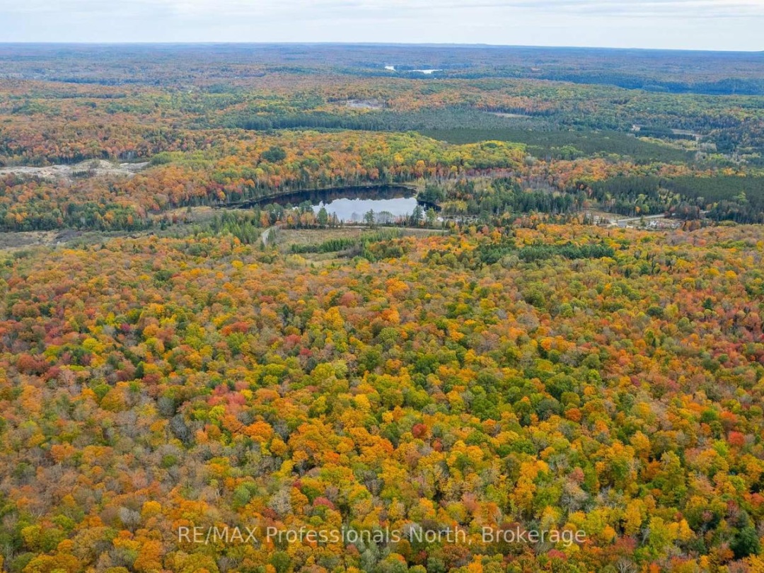 1600 BOBCAYGEON ROAD, Minden Hills (Minden)