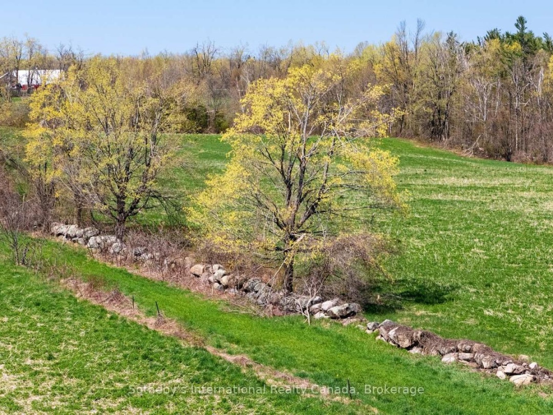 1614 HORSESHOE VALLEY ROAD E, Oro-Medonte (Horseshoe Valley)