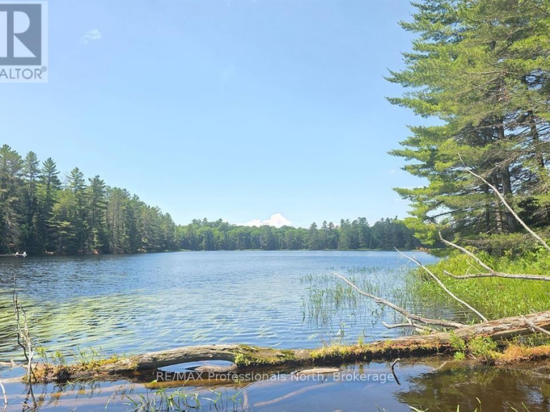 1134 WALKERS LINE ROAD, 