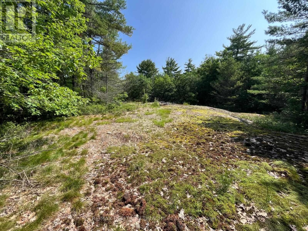 243 PRISQUE ROAD, Georgian Bay