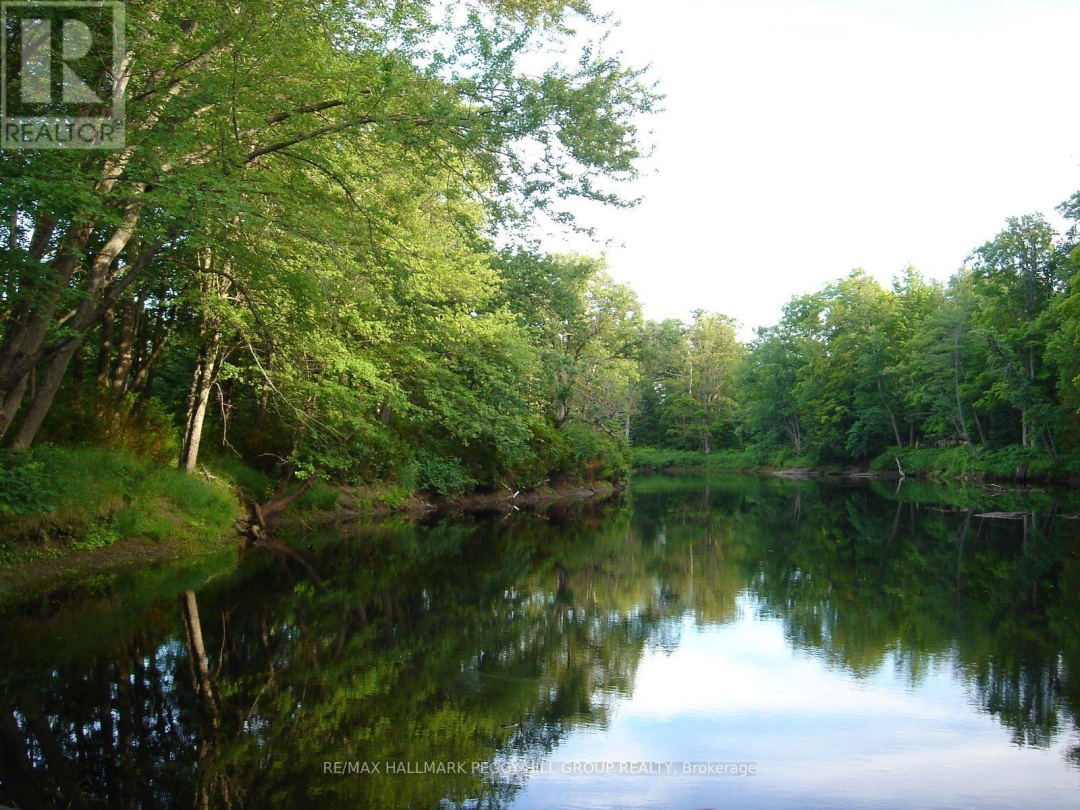 7012 COUNTY ROAD 169, Black River