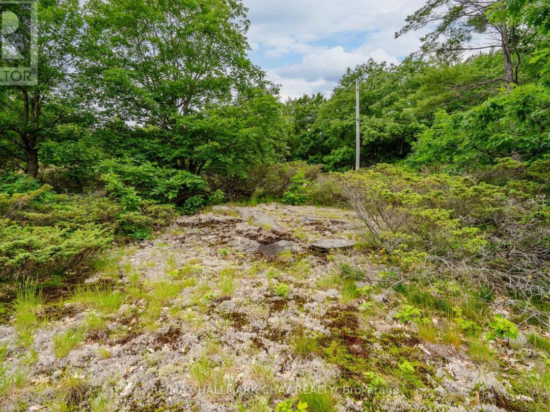 LOT 2 DELTA ROAD, Sparrow Lake
