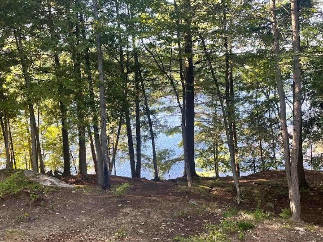 110D LOUISA STREET, Seguin River