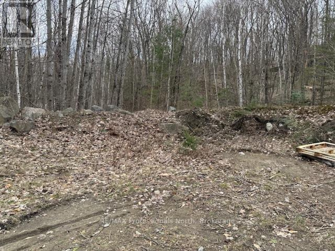 LOT SILVERWOOD ROAD, Minden Hills (Snowdon)