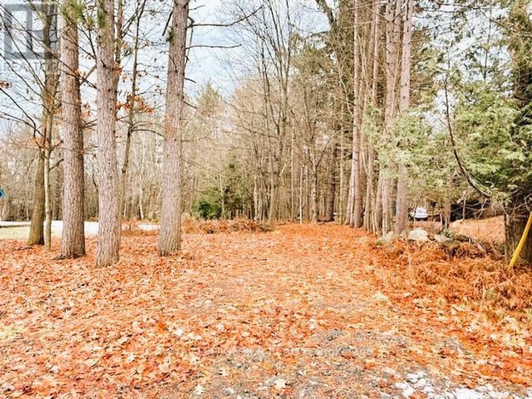 93 TOWN LINE ROAD W, Huntsville (Brunel)