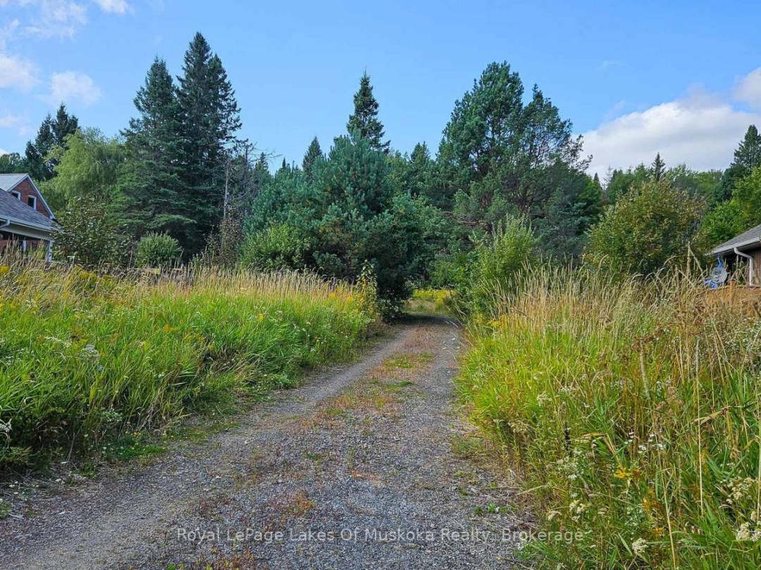 100 CHAFFEY TOWNSHIP ROAD, 