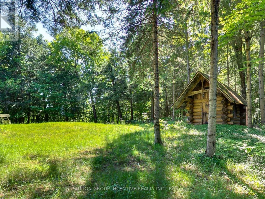 88 Causeway Road, Georgian Bay