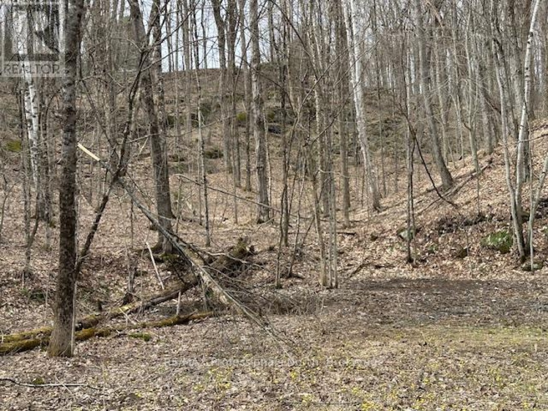 LOT SILVERWOOD ROAD, Minden Hills (Snowdon)