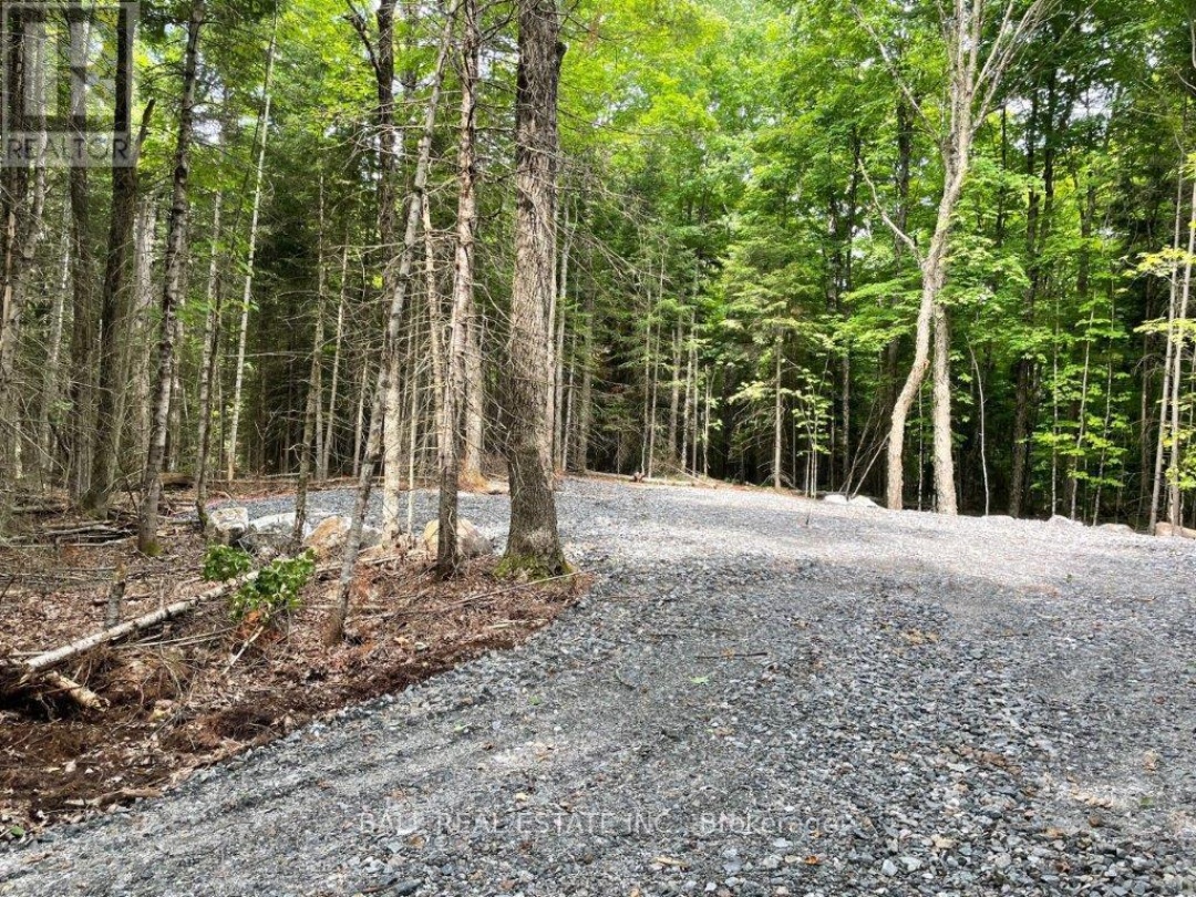 1350 HALIBURTON LAKE RD, Dysart et al (Dysart)