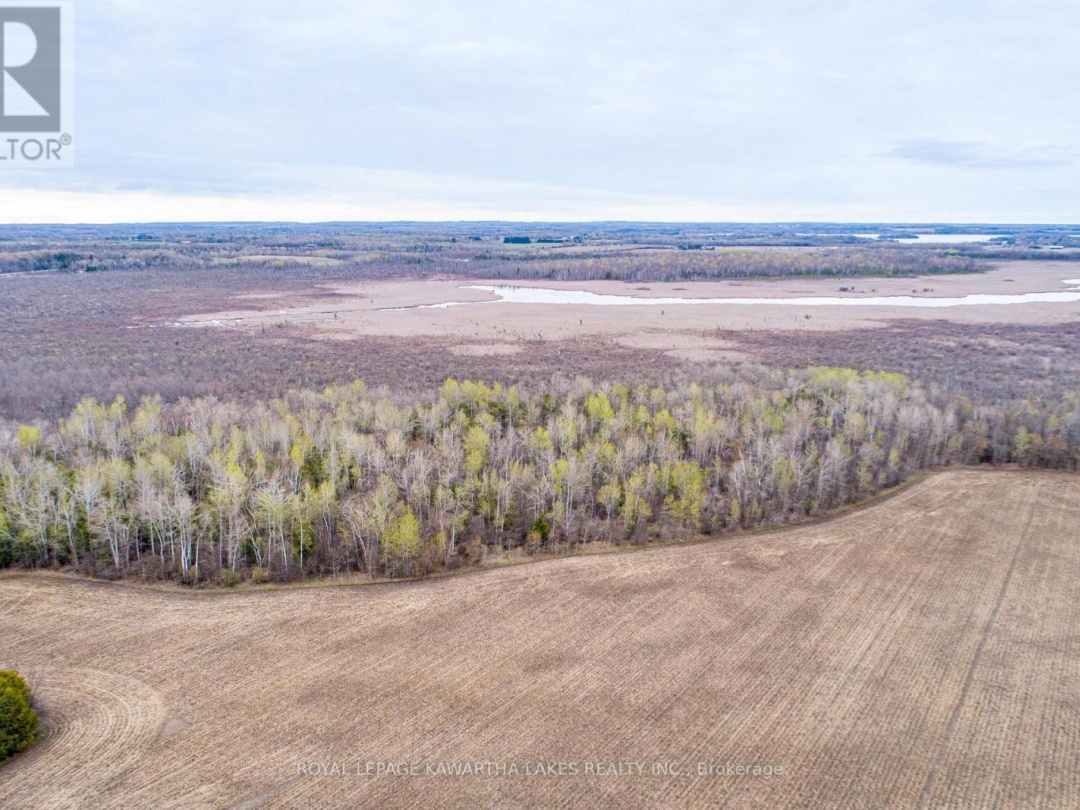 890 RAMSEY ROAD, Kawartha Lakes (Mariposa)