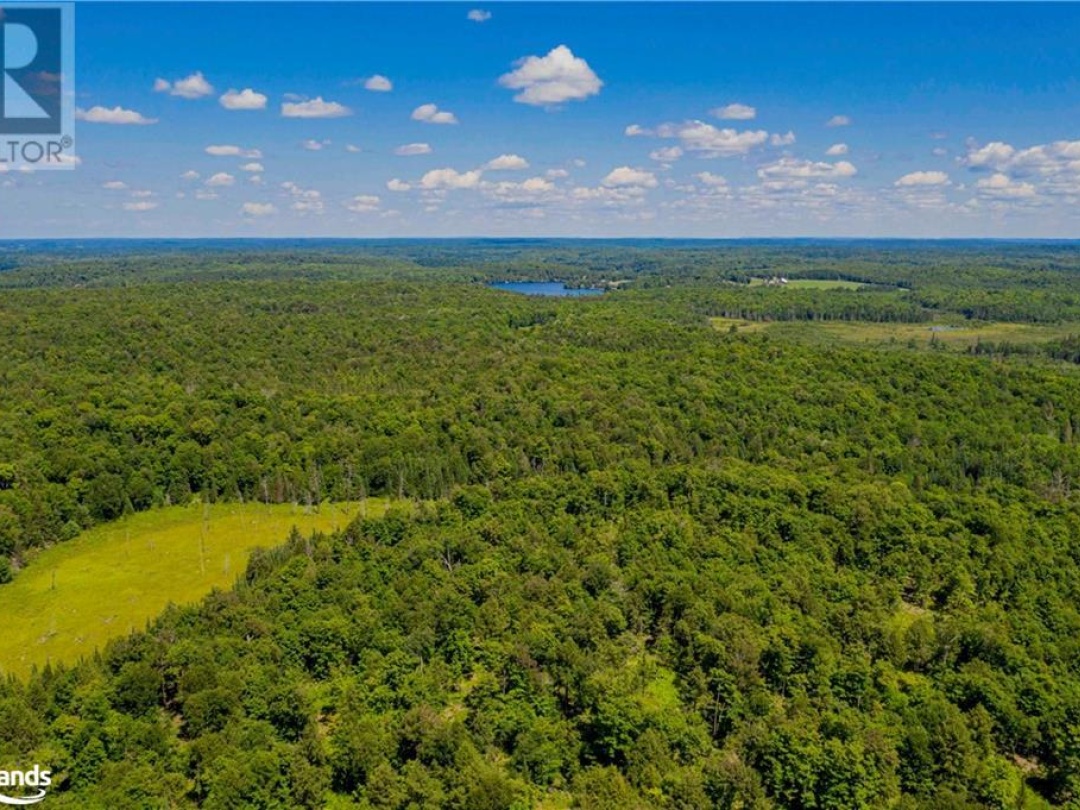 Lot 8 Nelson Lake Road, Magnetawan