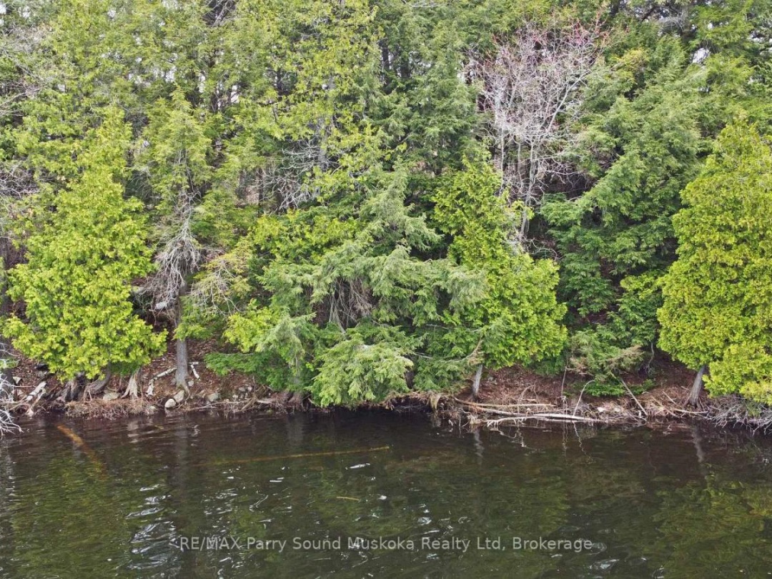 LOT 1 SHIELDS DRIVE, Horseshoe Lake