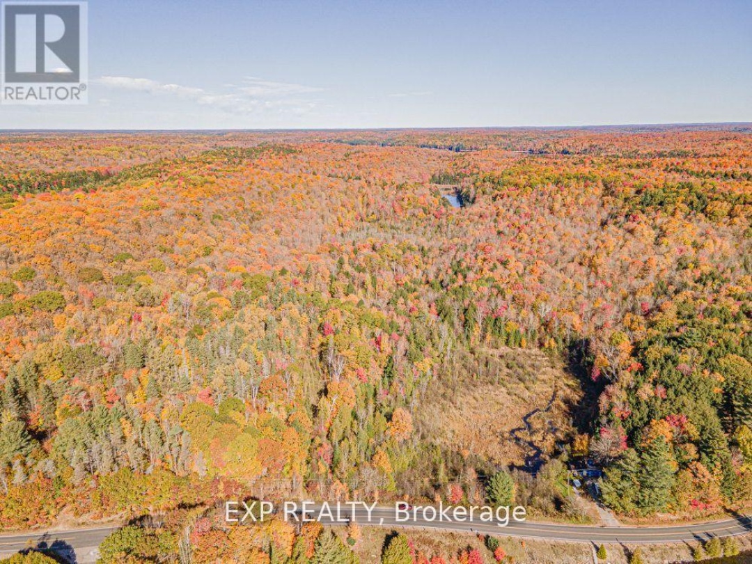 3349 DEEP BAY ROAD, North Pigeon Lake