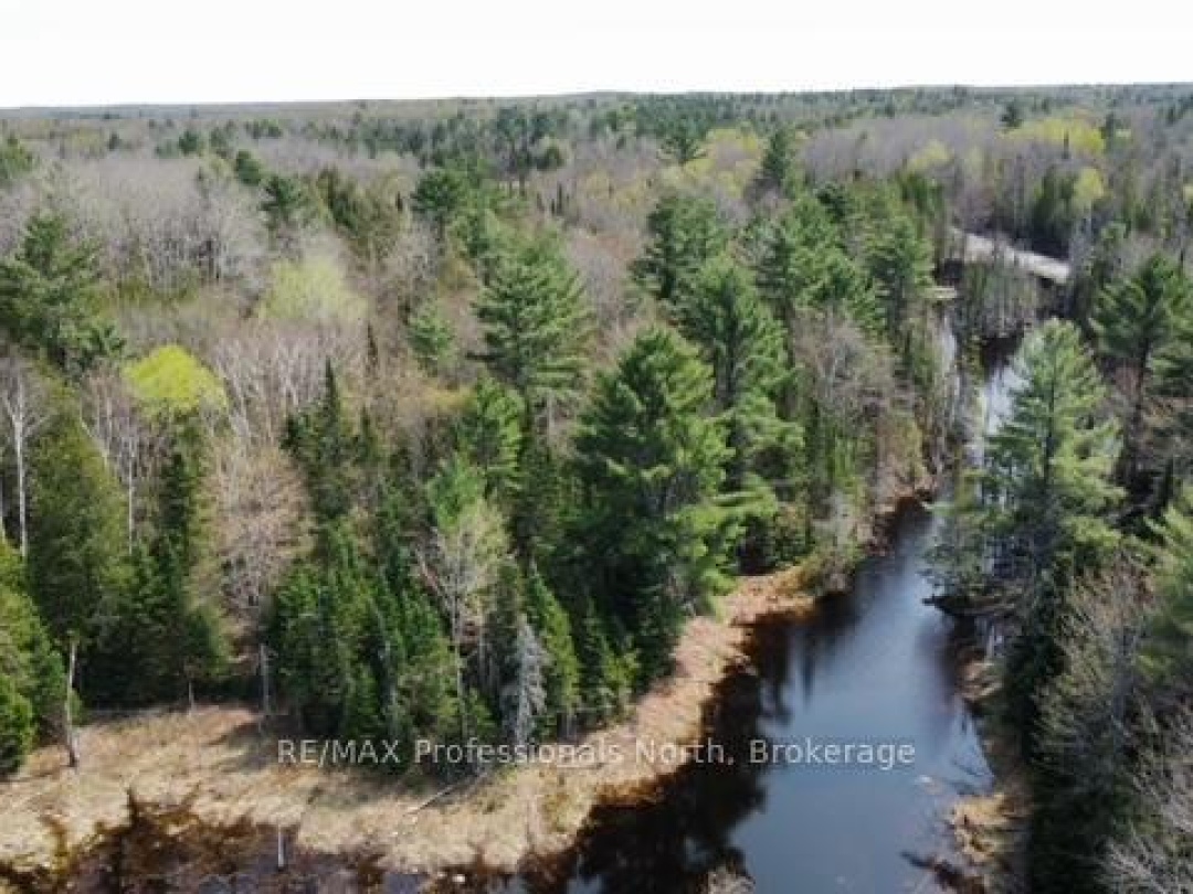 0 BOBCAYGEON ROAD, Minden Hills (Hindon)