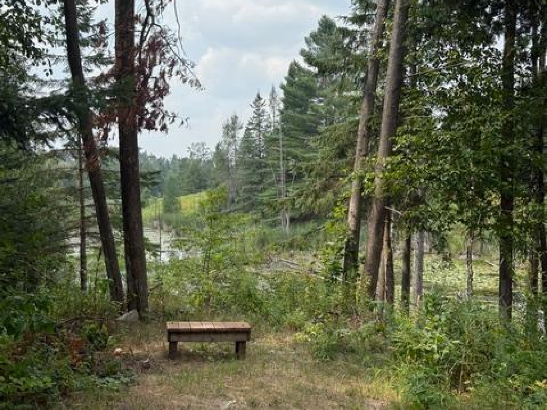 728 GALWAY ROAD, Trent Lakes