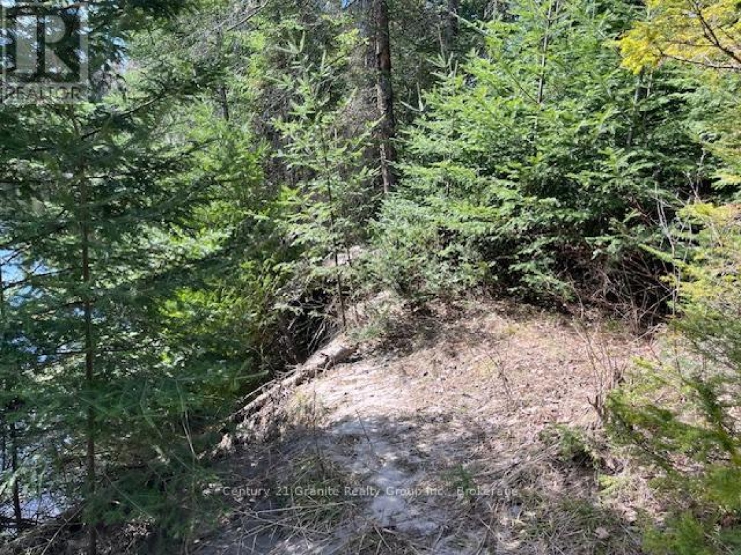 0 COUNTY ROAD 503, Irondale River