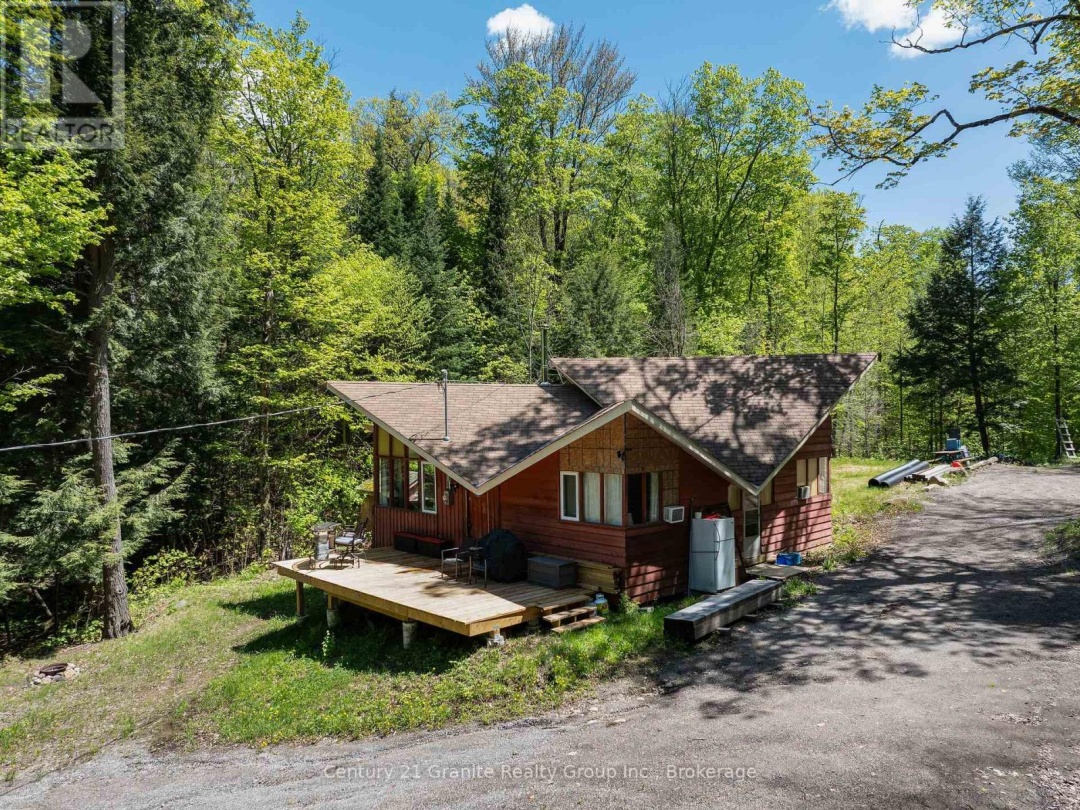 1145 MINK ROAD, Long Lake