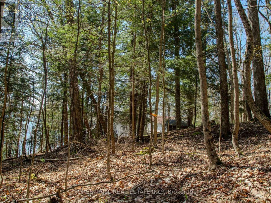 0 Maplehurst Drive, Lake of Bays