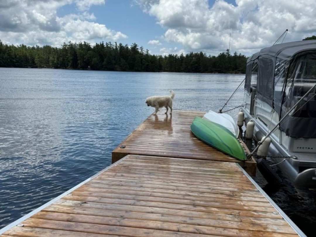 24 SEVERN RIVER, Severn River