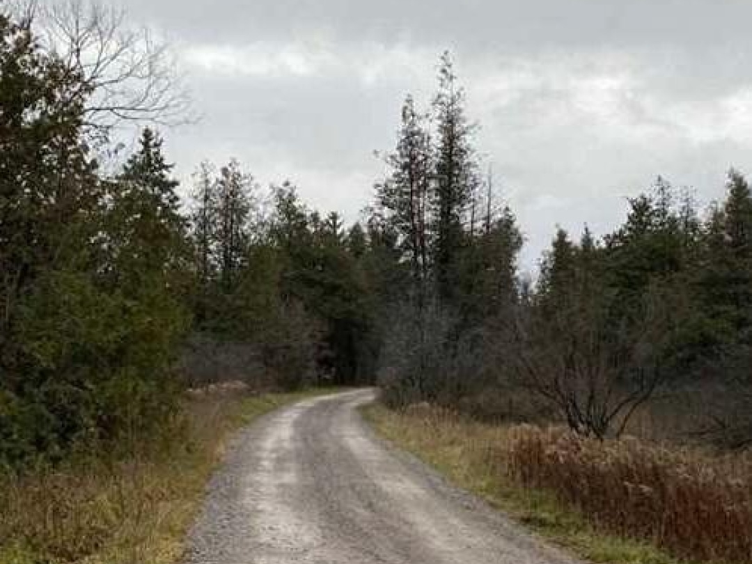 1411 PORTAGE ROAD, Mitchell Lake