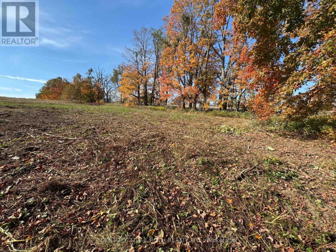 2960 8 LINE, Oro-Medonte