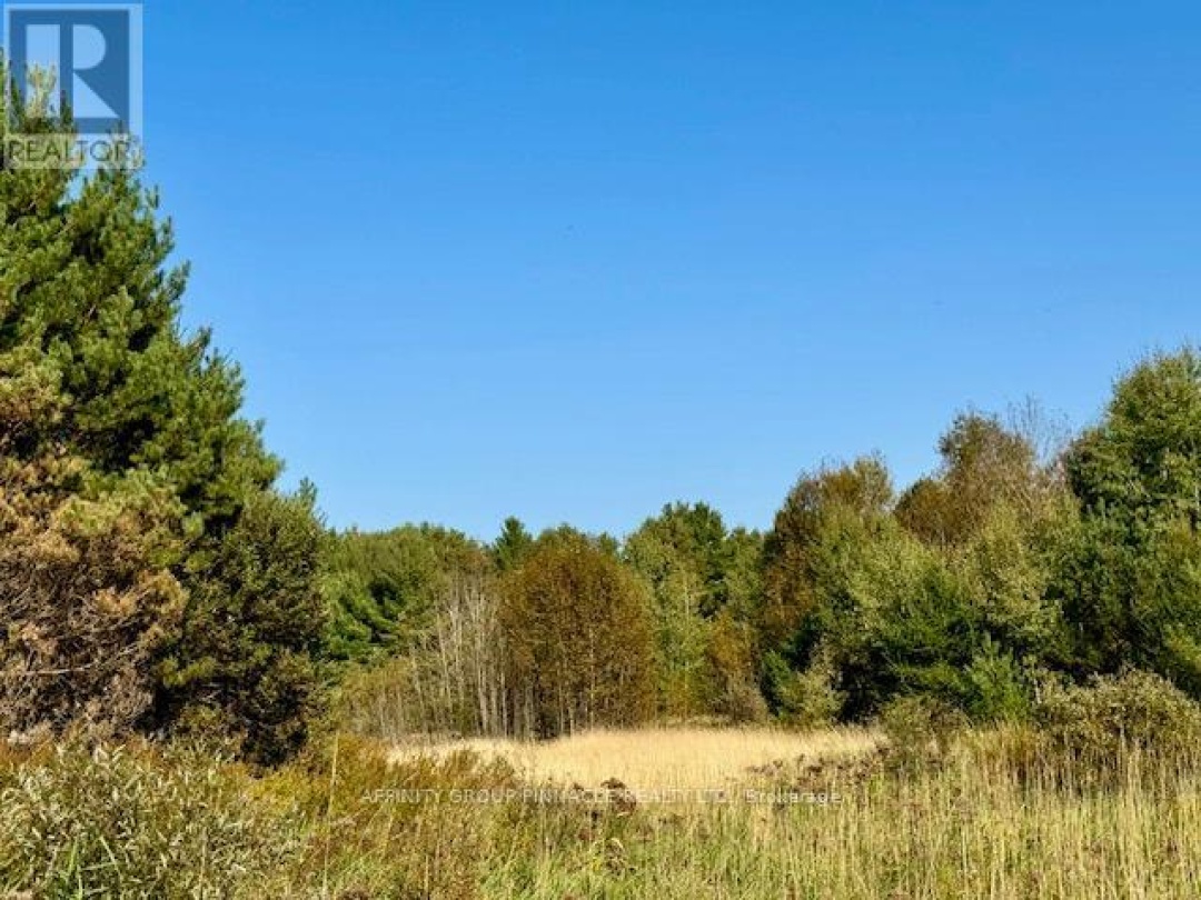 0 35 HIGHWAY, Kawartha Lakes (Laxton/Digby/Longford)