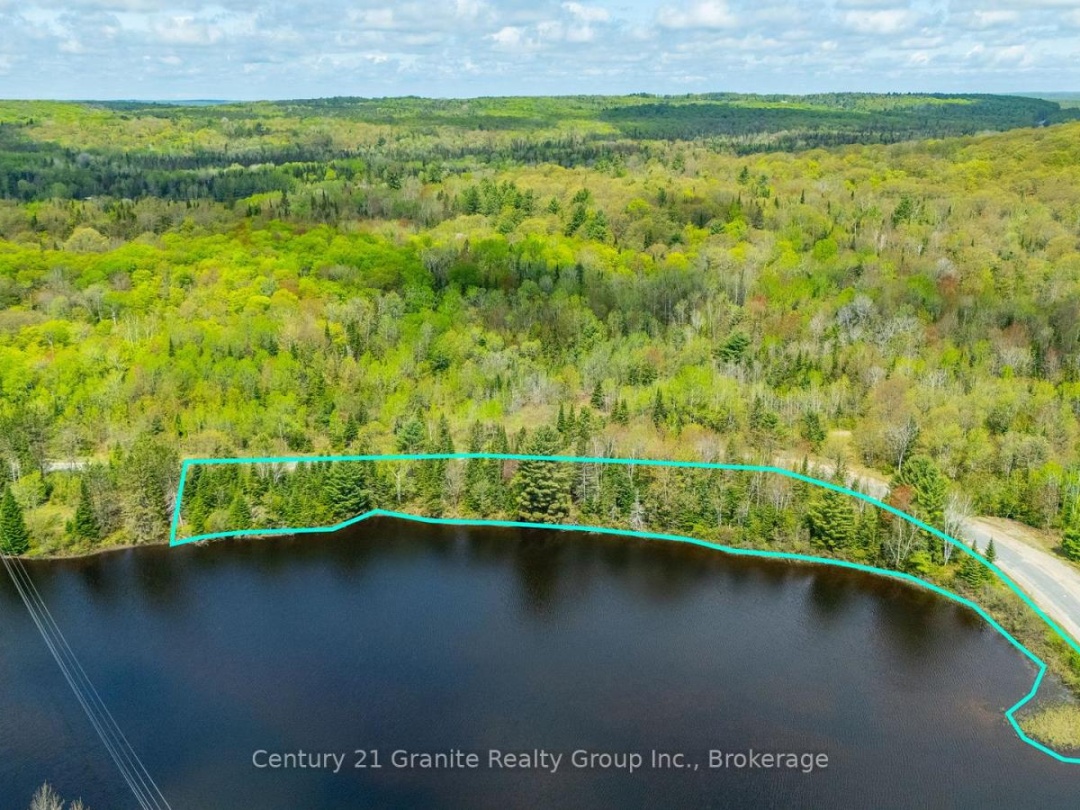 0 KOSHLONG LAKE ROAD, Burnt Lake