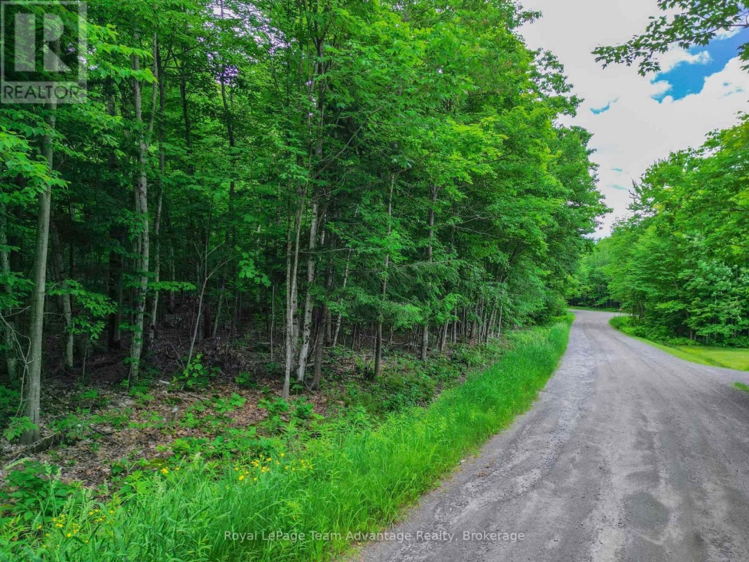 0 MILL LAKE TRAIL, McDougall