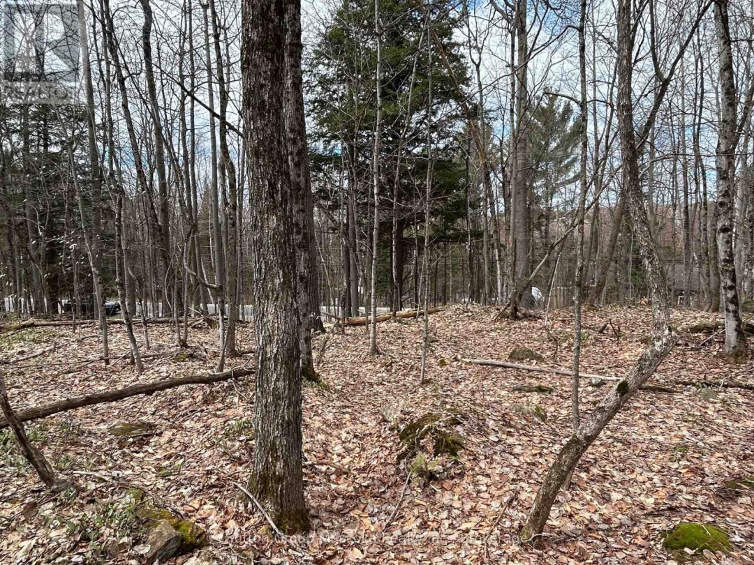 0 TALLY HO WINTER PARK ROAD, Lake of Bays (Sinclair)