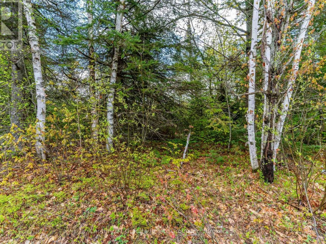 0 KOSHLONG LAKE ROAD, Burnt Lake