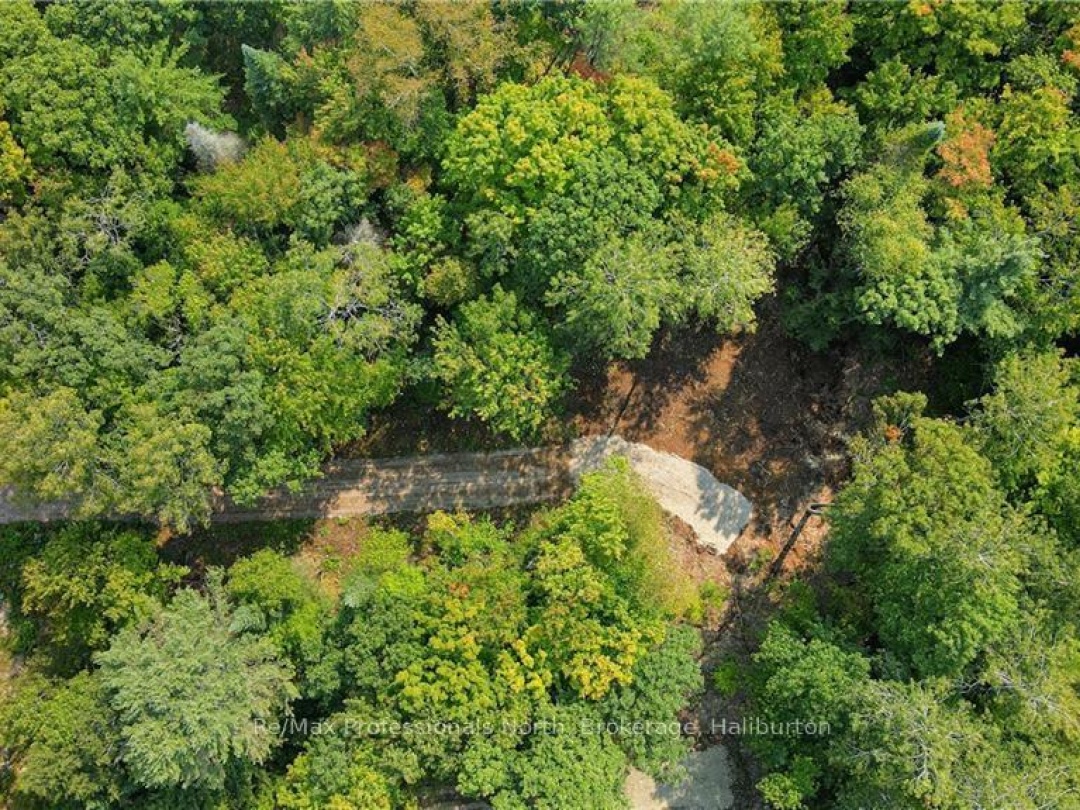 1169 HAWK VALLEY ROAD, Kennisis River