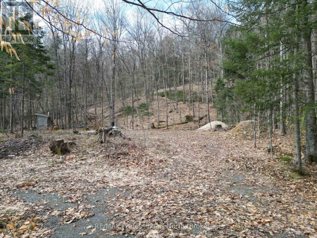 1231 BIG HAWK LAKE ROAD, Algonquin Highlands (Stanhope)