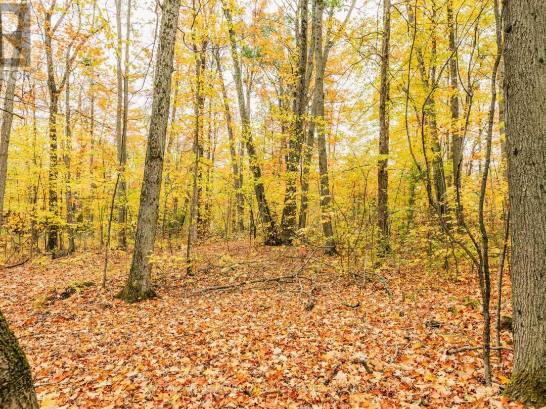 693 BALSAM LAKE DRIVE, 