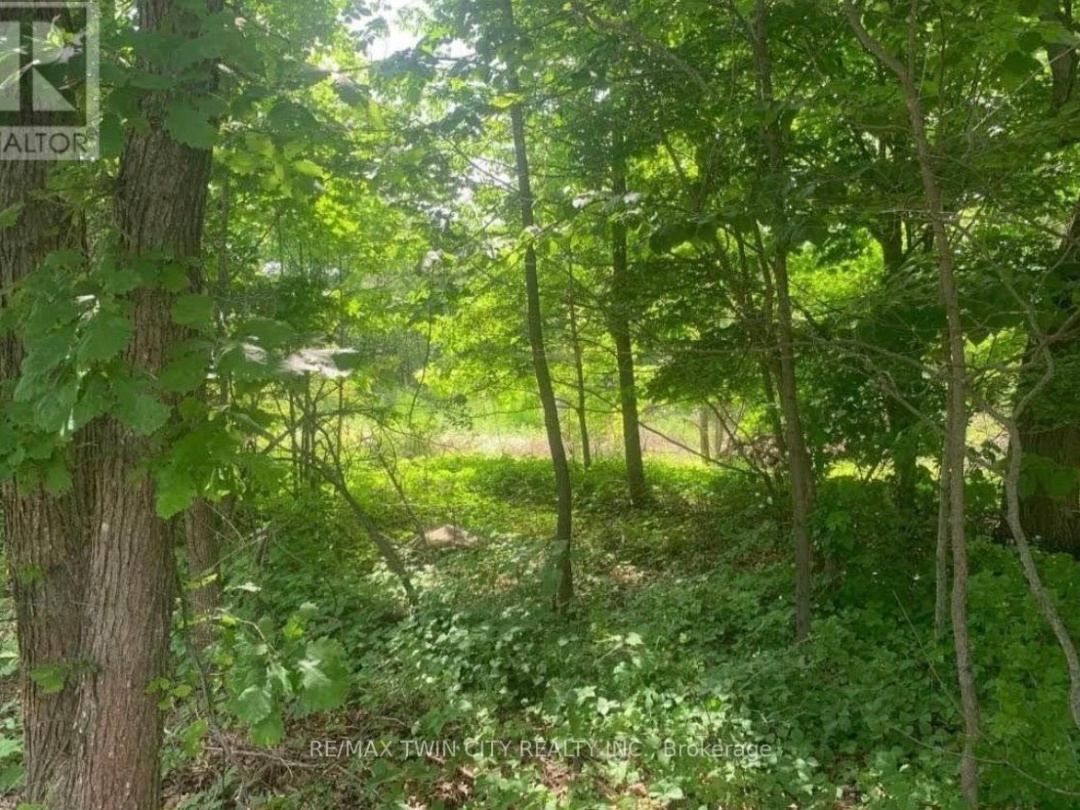 LOT 12 SUTER DRIVE, Kawartha Lakes (Laxton/Digby/Longford)