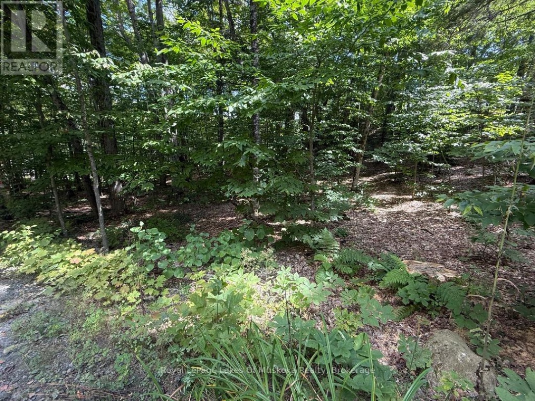 LOT 85 BRENNAN CIRCLE, Lake Vernon