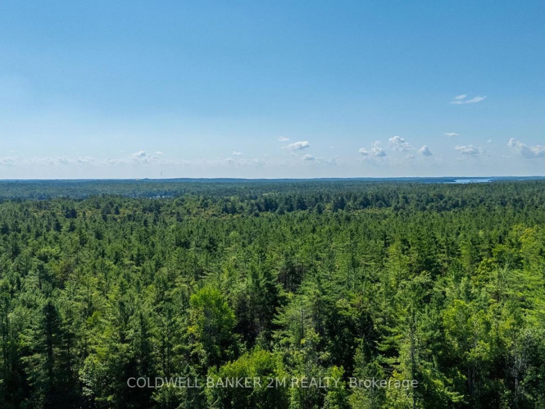 2812 COUNTY RD 48, 