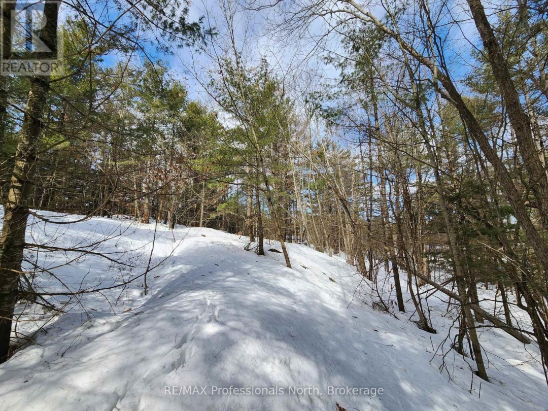 00 MANITOBA STREET, Bracebridge (Macaulay)